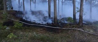 Skogsbrand i Stenbovad