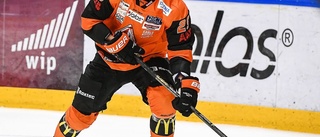 VIK jagar SHL-forward