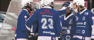 Tjust Bandy föll i seriepremiären