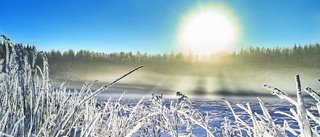 Vinterlandskap i motljus vinnare i januari