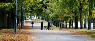 Jag intalar mig att jag gillar hösten – och promenader