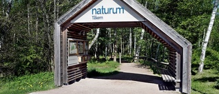 Mer barnvänligt på Naturum