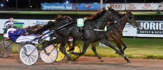 Hemmahoppet med stallform