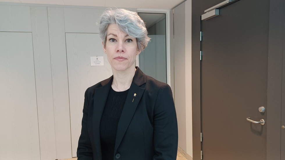 Åklagaren Anna Väppling begärde kvinnan häktad misstänkt för grovt narkotikabrott vid Luleå tingsrätt och domstolen gick på åklagarens linje. (Arkivbild)