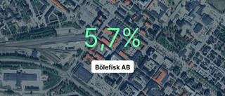 Bölefisk AB: Här är årsredovisningen för 2023