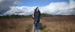 Hård kritik för eftersatt naturskötsel