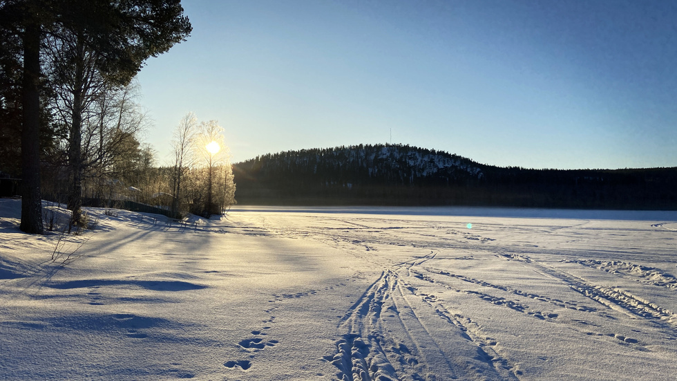 Arkivbild. Solen kikar fram bakom trädtopparna i Falkträsket i Skellefteå. Till helgens väntas sol och mildare temperaturer, enligt SMHI.
