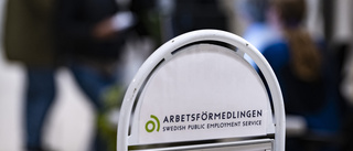 Om bolagiserad arbetslöshet och timanställningar