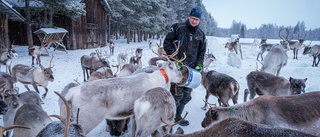 Därför vill Muonio sameby få ändrad titel: "Vill bli likvärdiga"