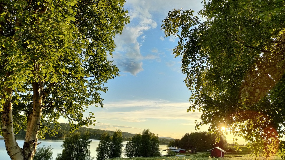 Strålande sommar. Solveig Oinas njöt i den vackra sommarkvällen i Saittarova och passade på att ta denna bild. 
Vill du se din bild i tidningen? Skicka in den till familj@nsd.se och berätta lite om bilden.