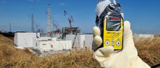 Fukushimas offer hedras i dag