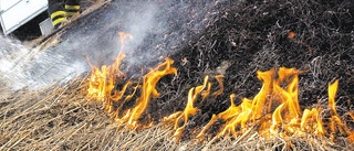 Gräsbrand förstörde fyra hus