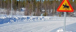 Hästar och ryttare får säkrare ridmiljö