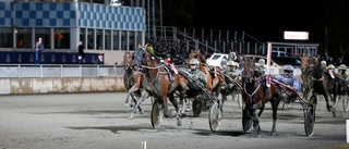 Här hittar du Edholms tips till Bodentravet