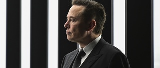 Musk tar över Twitter – oro för hårdare ton