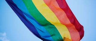 Kommunens Prideflagga skars ner och eldades upp