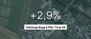 Minskad vinst men fortfarande plus för Vallskoga Bygg & Plåt