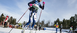 Svenska vallatester visar: Enkelt att fuska