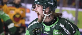 SHL-lagens starka CHL-start – fyra lag i topp