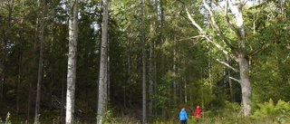 En växande kommun behöver större naturområden