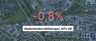 Marginell förlust för Mediateknikerutbildningen