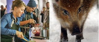 Konstnärer tar sig an det gränslösa vildsvinet