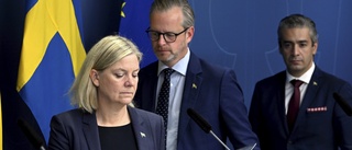 Regeringen hakar på EU för lägre elpriser