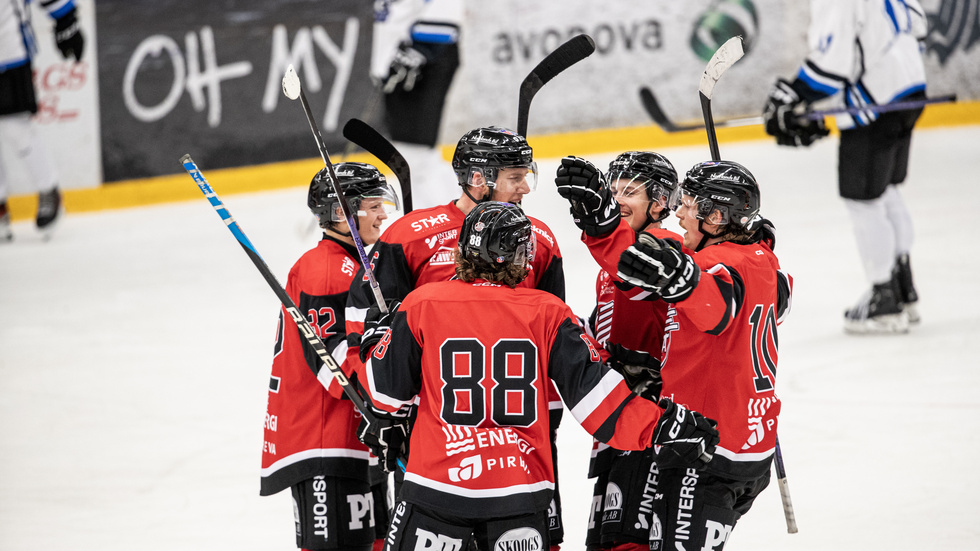 Nya fräscha Piteå Hockey har imponerat i norra ettans grundserie. 