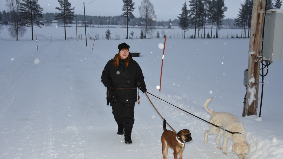 Mina Kåreborn som driver pensionat Västgården i Siknäs ute på promenad med hundarna Vera och Lichie.