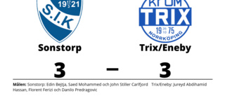 Efterlängtad poäng för Trix/Eneby - steg åt rätt håll mot Sonstorp