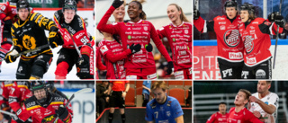 Vad önskar du dig mest av sportåret 2024?