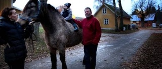 Säljer stall Dalhem och flyttar