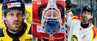 40 frågor om VIK – läs chatten med VT:s hockeyreporter