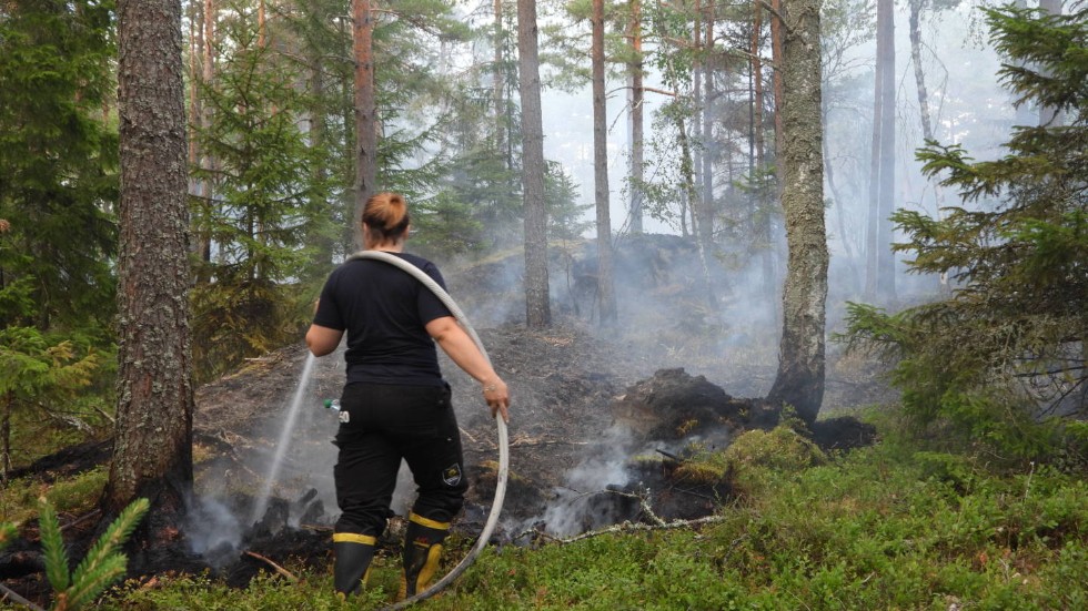 En skogsbrand utanför Östra Ryd upptäcktes av brandflyget på onsdagen.