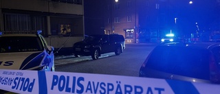 Stor polisinsats efter skjutning mot lägenhetsdörr