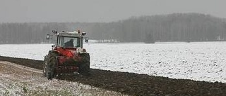 Snö och modd i Norduppland