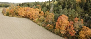 Stärk äganderätten i grundlagen