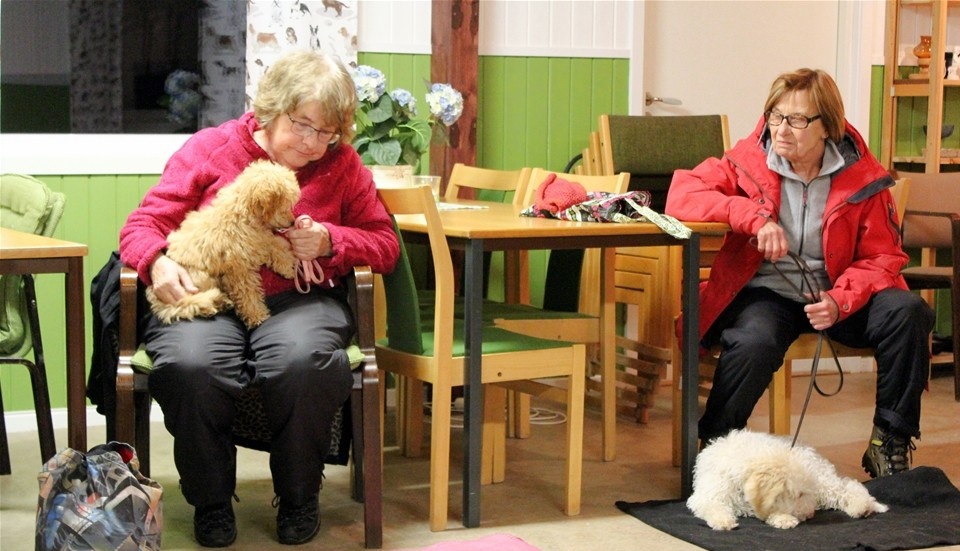 Margareta Roupe Wester tog med dvärgpudeln Märta, som fick träffa Enya av rasen lagotto. Matte heter Eva Lundberg.