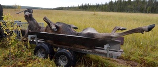 Renskötare stoppas från att köra fyrhjuling i fjällen