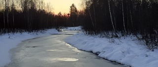 Läsarbilden: Morgonsol             