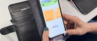 Intresset för Pite Energis app rusar – kunder vill spara ström