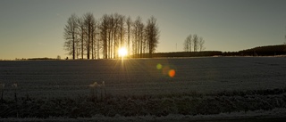 Håll ut – nu kommer solen till Sörmland ✓Temperaturen letar sig uppåt ✓"Friska vindar" ✓Så blir vädret i helgen