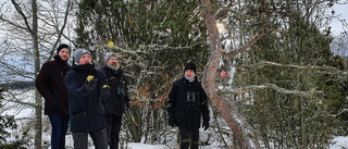 En annorlunda tradition: De matar fåglarna – varje julafton • Har pågått i över 50 år