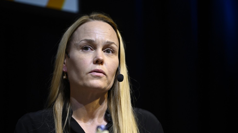 Finansinspektionen, med Susanna Grufman som tillförordnad generaldirektör, presenterar prioriteringar. Arkivbild.