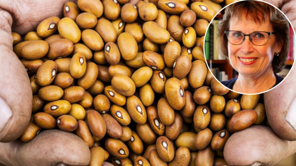 Trots liten befolkning står Kalmar län för en stor del av den svenska livsmedelproduktioner, inte minst vad gäller bönor. Riksdagsledamoten Gudrun Brunegård (KD) vill därför att regeringen ser över infrastrukturmedlen till områden som drabbats av strukturell snedvridning och utebliven tillväxt.