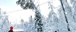 Efter snön – tusentals har fått tillbaka elen