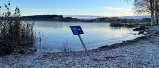 Läsarbilden: Hunden får bada