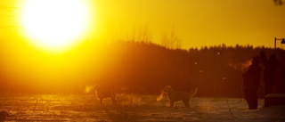 Nära 50 graders skillnad i temperatur i Norge