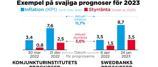 Dyrt att lita på ekonomerna