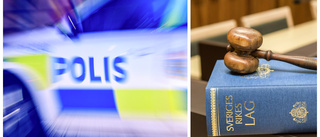 19-åring slet sönder dörrhandtag på polisbil – döms